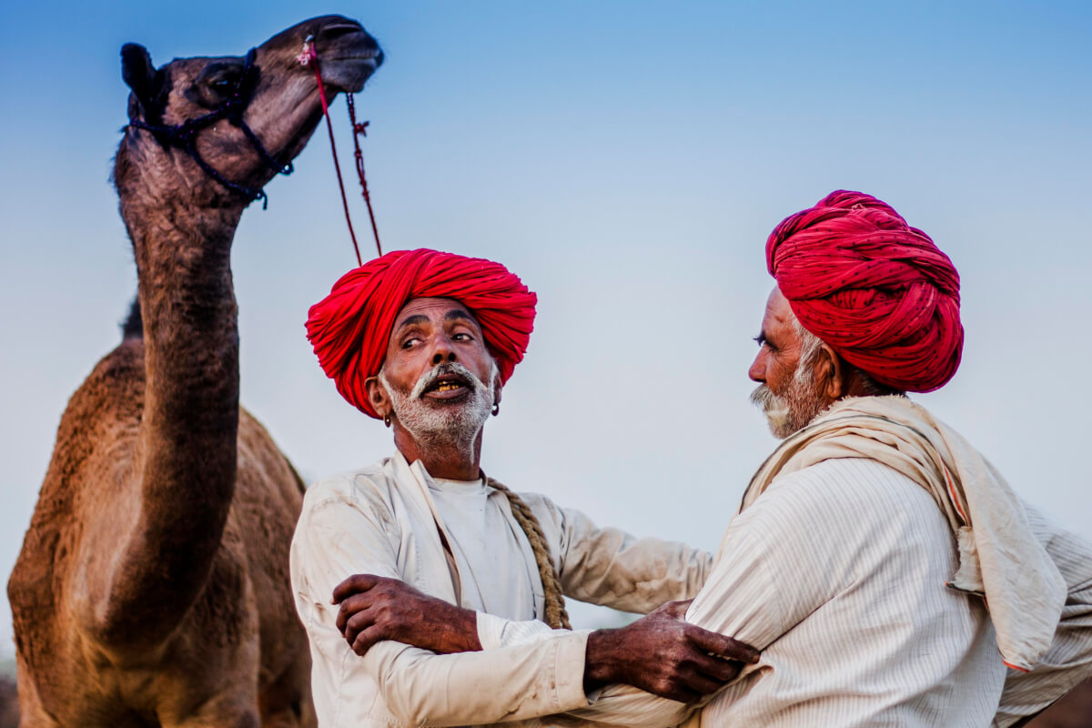 Friends animal photography in Pushkar 2015