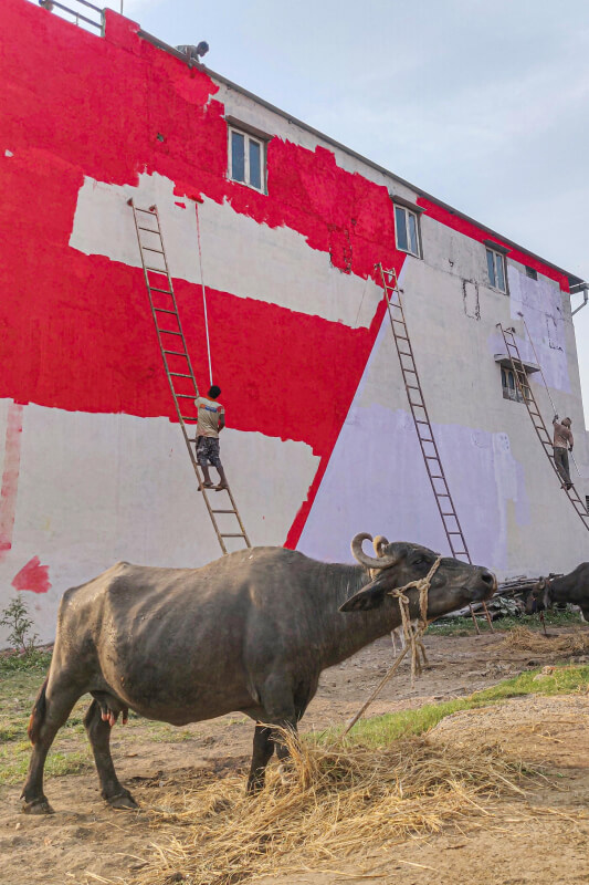Red animal photography in Surat 2021