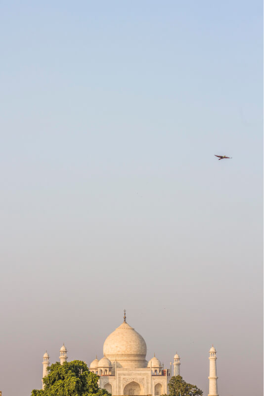 Taj Mahal animal photography in Agra 2019