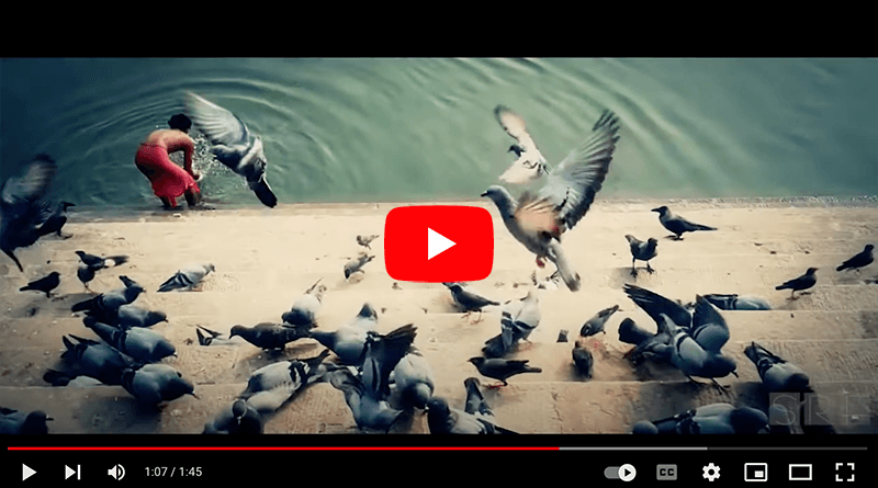 Varanasi documentary trailer video thumbnail